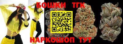 гидра Моздок
