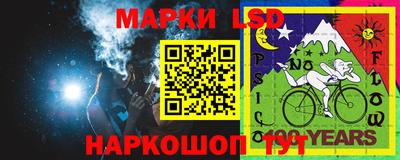 СК Можга