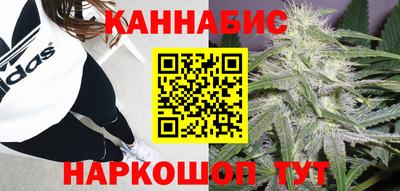 СК Можга