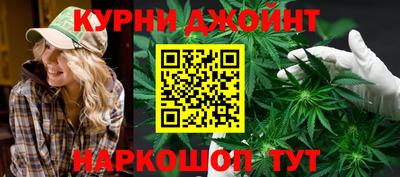 гидра Моздок