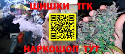 гидра Моздок