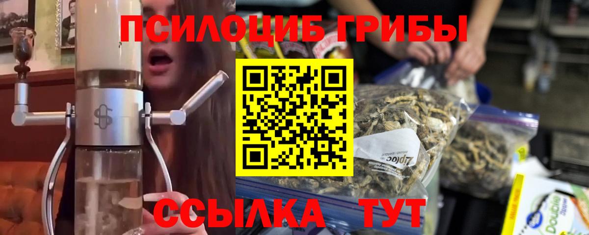 Галлюциногенные грибы Psilocybe Скопин